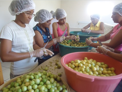 CESOL Sert�o Produtivo acompanha e sensibiliza grupos para uma Economia Solid�ria 