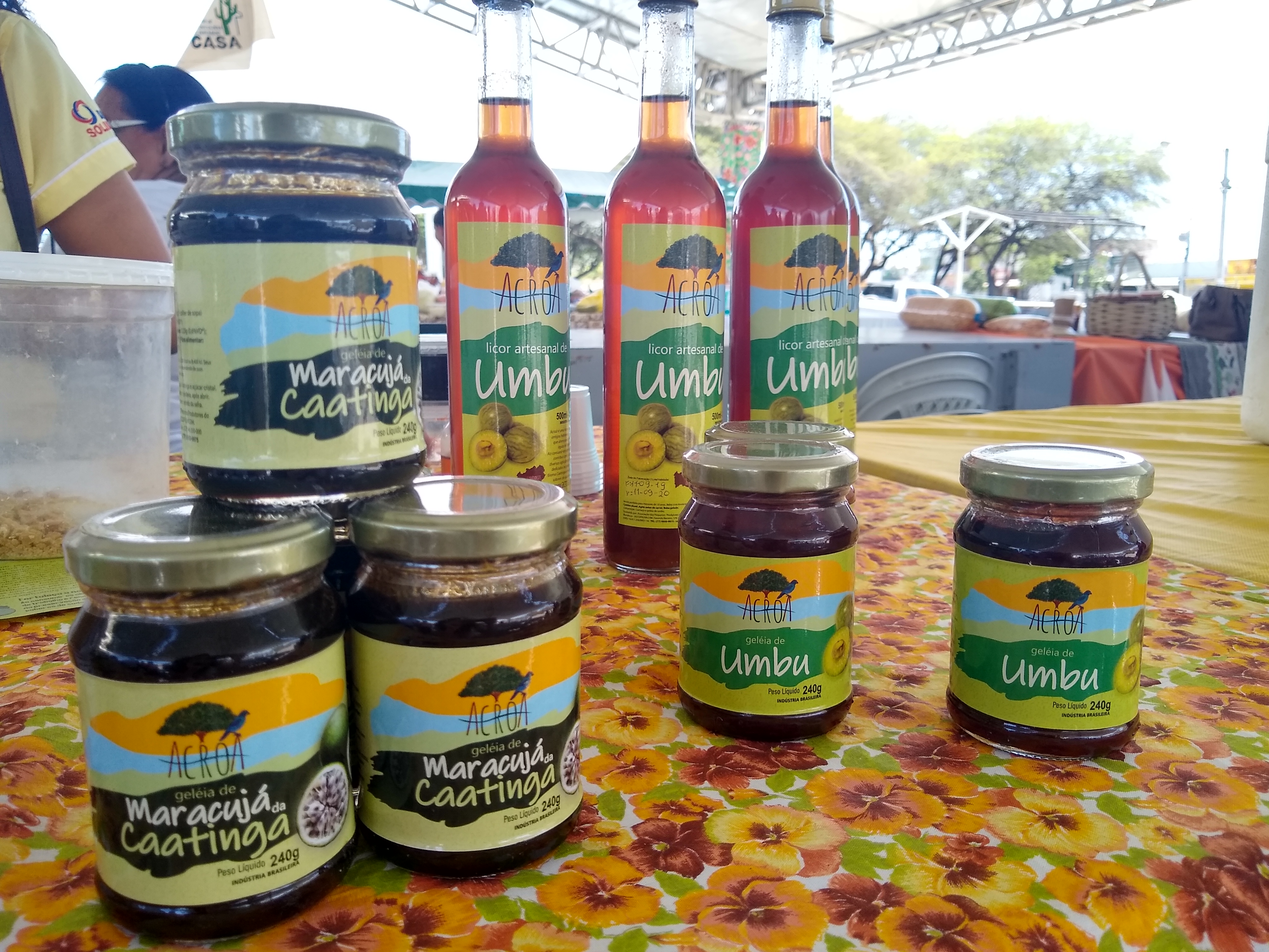 Grupo Sabores da Bahia: honrando os antepassados e preservando a caatinga