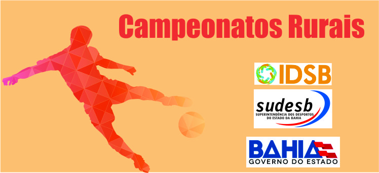 Confira os resultados dos campeonatos em andamento ap�s cada rodada