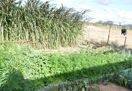 �rg�os federais v�o destinar 30% dos recursos para a compra de produtos da agricultura familiar