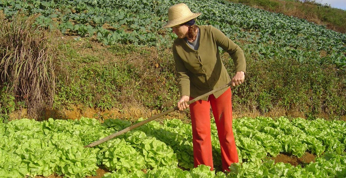 Bahia tem maior n�mero de mulheres � frente dos empreendimentos rurais no pa�s