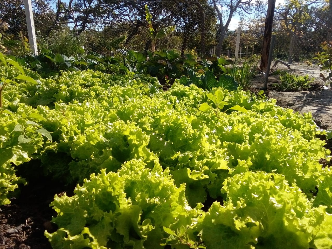 Empreendimentos assessorados pelo Cesol Sert�o Produtivo receberam recursos atrav�s de editais p�blicos 