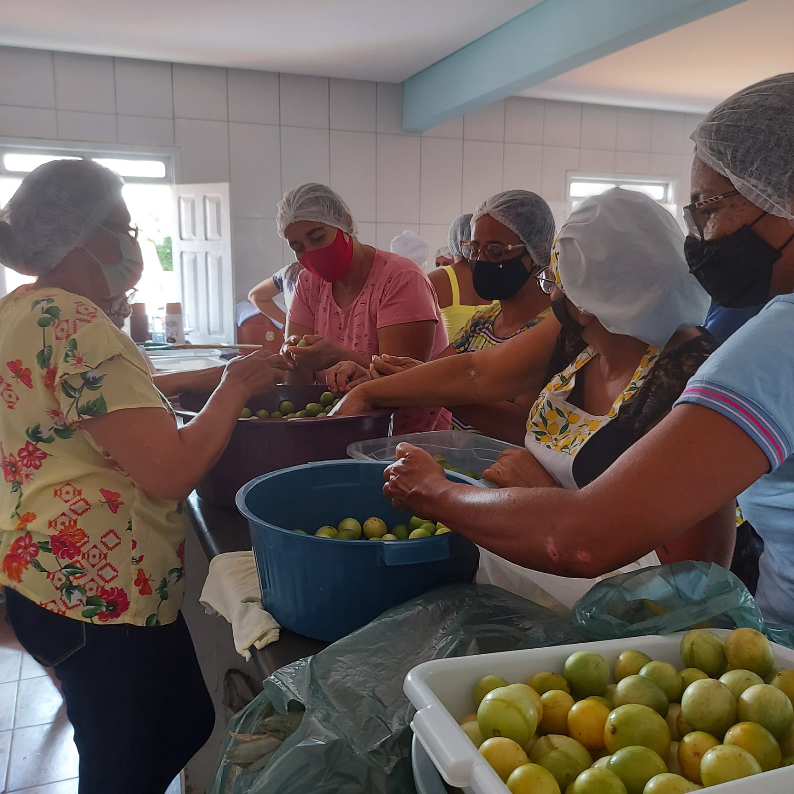 Oficina de Beneficiamento de Frutas � realizada em Guanambi 