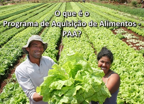 O que � o Programa de Aquisi��o de Alimentos - PAA?