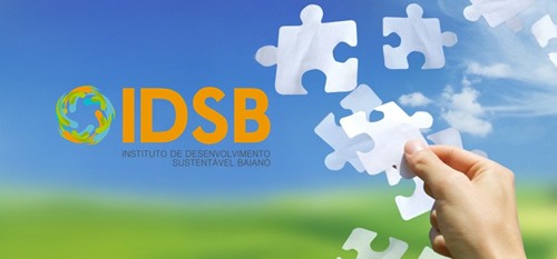 A import�ncia da organiza��o social para a din�mica das pol�ticas p�blicas