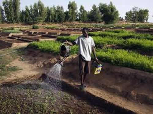 Dia Mundial da �gua: aumento da demanda e contamina��o preocupam