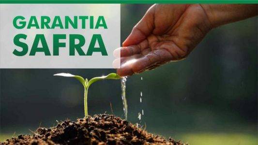 Garantia-Safra pagar� recursos para agricultores prejudicados com a seca
