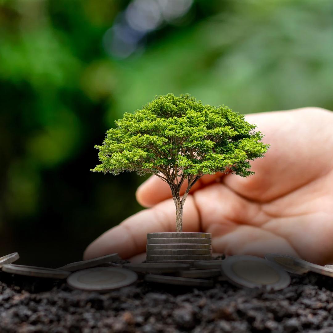 Lei n� 15.068: Avan�os na Economia Solid�ria no Brasil