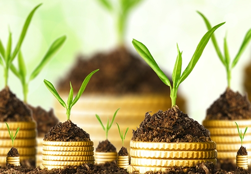 Minist�rio do Trabalho e Previd�ncia Social disponibilizam R$ 50 milh�es para a��es de Economia Solid�ria