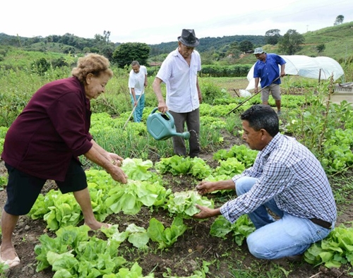 Por que o mercado de org�nicos ainda n�o deslanchou no Brasil?