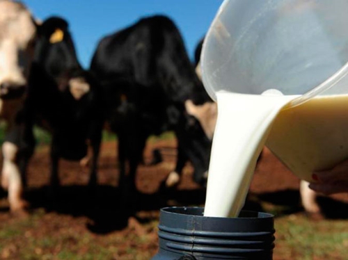 Palestras sobre Produ��o de Leite v�o capacitar agricultores do Sert�o Produtivo e Bacia do Paramirim