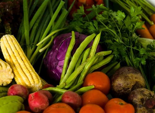 Pol�ticas p�blicas para fortalecimento da agricultura familiar em discuss�o na SDR