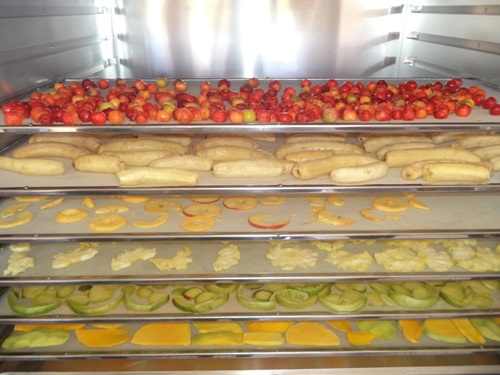 Grupo de Mulheres de Mulungo recebe qualifica��o em desidrata��o de frutas pelo CESOL 