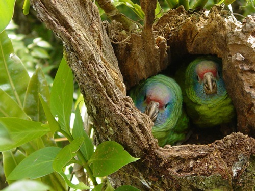 Mudan�a de cultura � o caminho para a preserva��o 