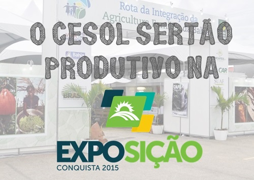 Cesol Sert�o Produtivo exp�e produtos da Economia Solid�ria na Exposi��o de Vit�ria da Conquista