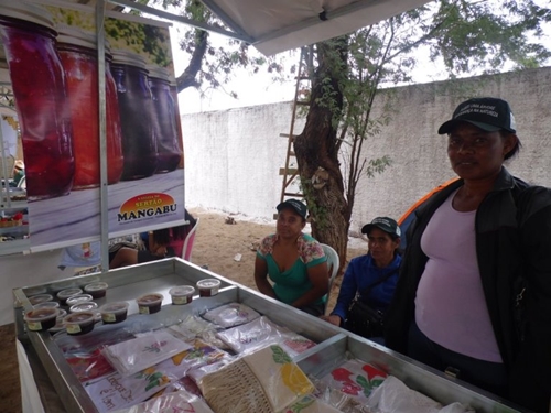 Exposi��o de Ibiassuc�