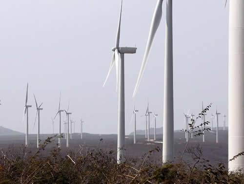 O que � o Programa Catavento?